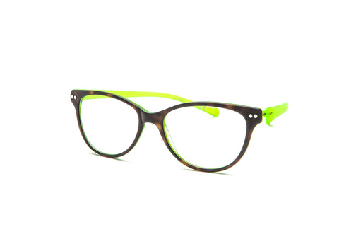 Tortoise Lime