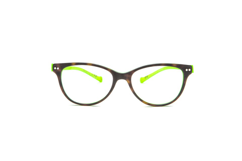 Tortoise Lime